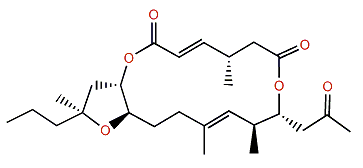 Amphidinolide X